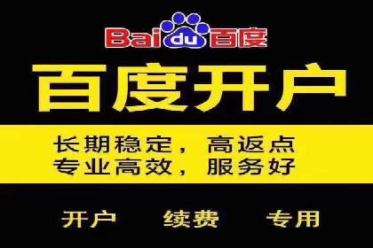 深度剖析：百度竞价推广代运营在某电商平台的成功实践